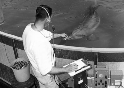 A man wearing a headset holds out his hand to a dolphin in a pool.