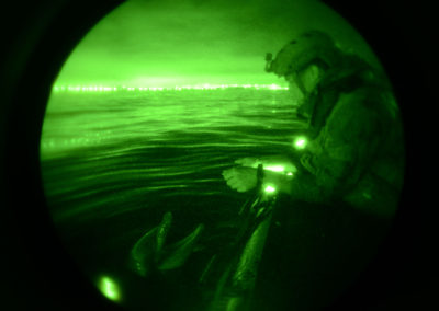 A Sailor communicates with a dolphin the water at night.