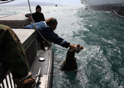 A sea lion takes a marker from a woman in a small boat.
