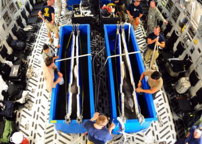 Four boxy blue containers hold dolphins inside stretchers, as groups of people check on their wellbeing.