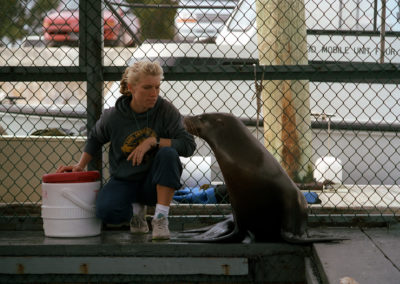 A woman trains with a sea lion.