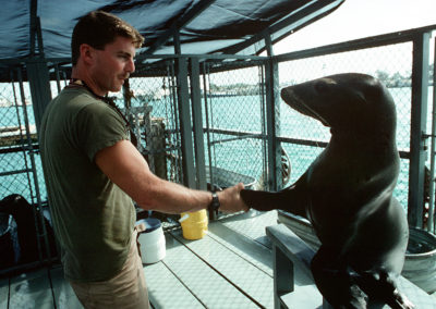 A man holds the flipper of a sea lion, mimicking a handshake.
